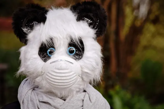 Casino Cabaret Club Soporte